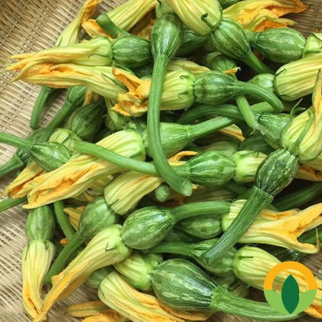 Hạt giống bí siêu nụ - Ảnh 1